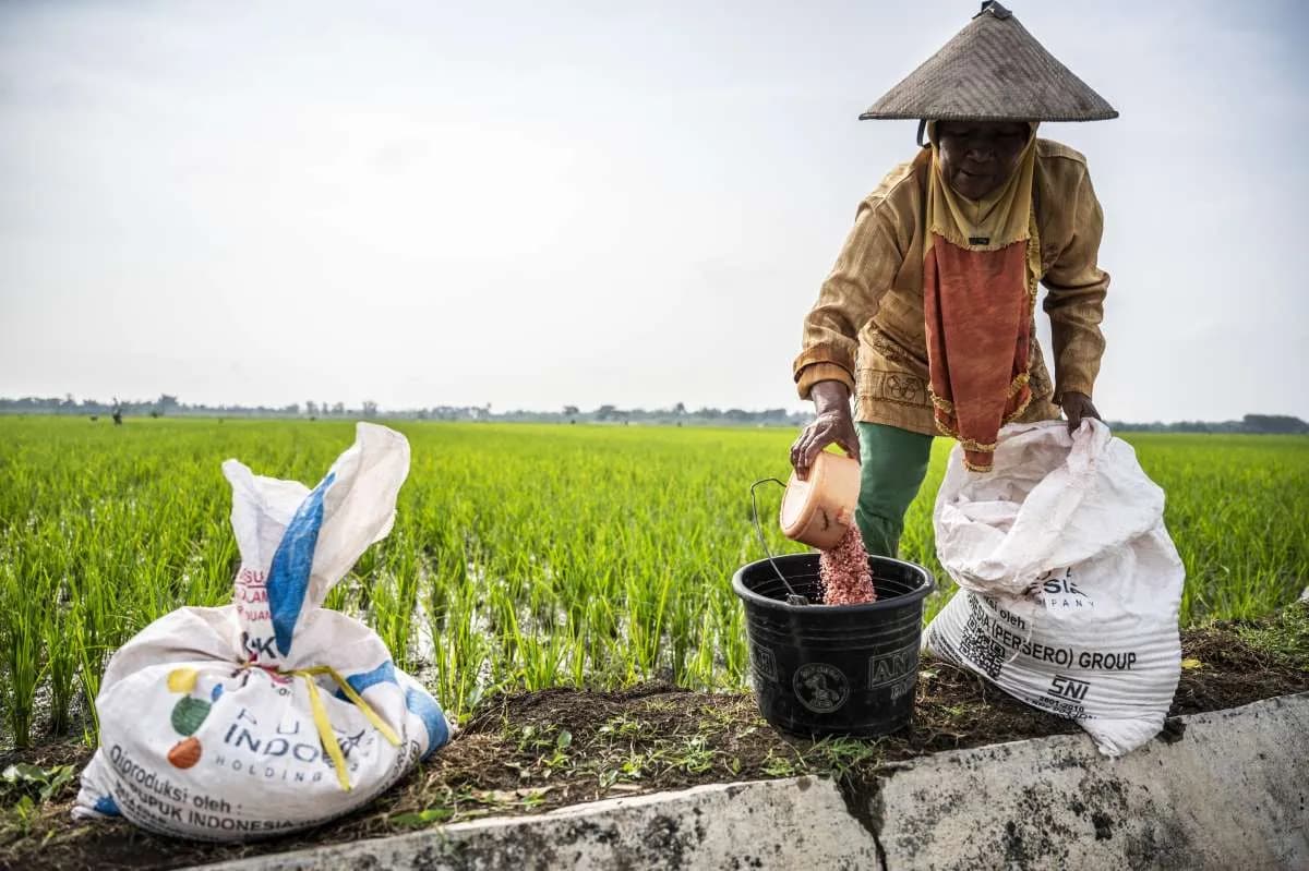 Analisis Strategis Penyaluran Pupuk pada Periode Kritis Akhir Siklus Pertanian 2025