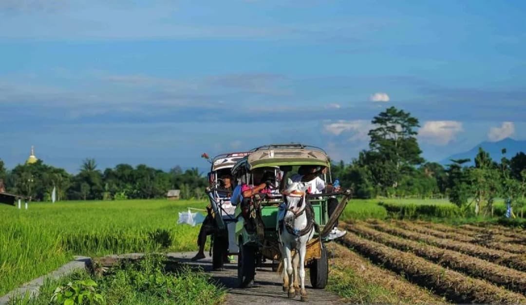 Transformasi Pariwisata Pedesaan: Analisis Fenomena Peningkatan Signifikan Pengunjung pada Periode Libur Akhir Tahun