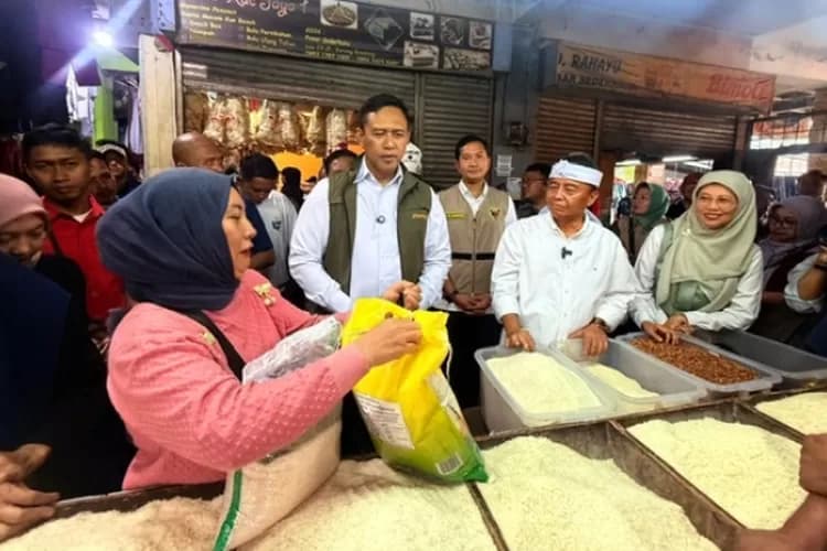 Analisis Ekonomi: Faktor-Faktor Penentu Stabilitas Harga Komoditas Esensial Menjelang Periode Transisi