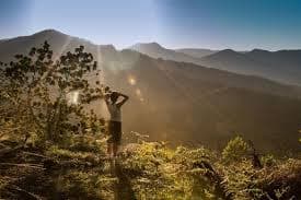 Kembali ke Esensi: Analisis Psikososial dan Ekonomi di Balik Maraknya Retret Tanpa Teknologi di Indonesia