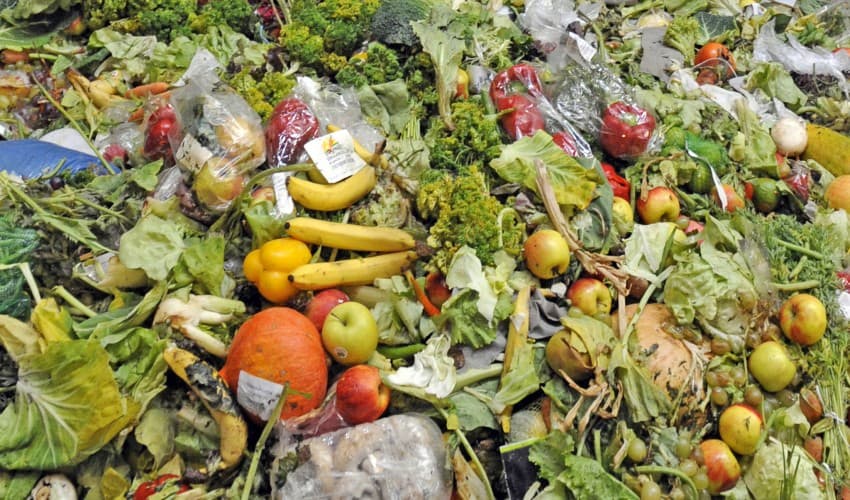 Mengurai Jejak Ekologis: Dari Pola Konsumsi Menuju Keberlanjutan Lingkungan