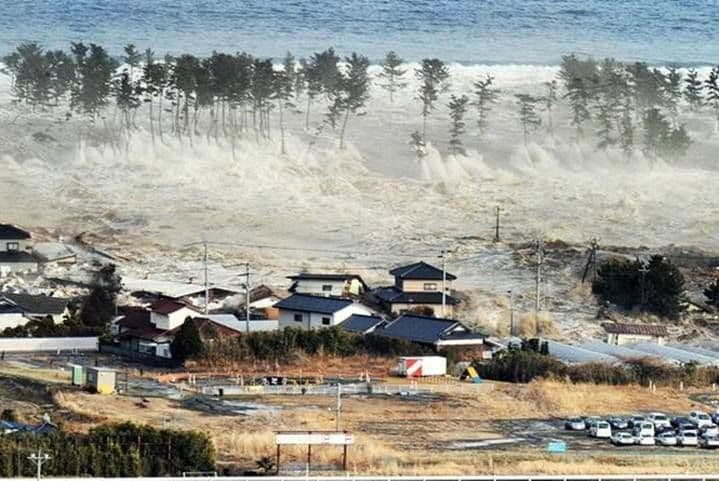 Mengurai Prosedur Evakuasi Tsunami: Dari Peringatan Hingga Titik Aman