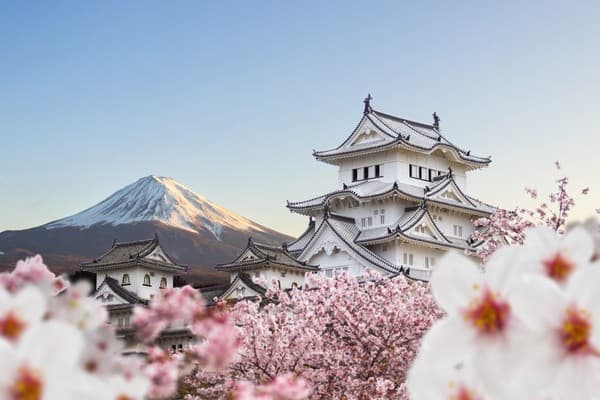 Analisis Fenomenal: Gelombang Kedatangan Wisatawan Global dan Transformasi Ekonomi Pariwisata Jepang