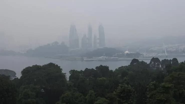 Singapura Pertimbangkan Usut Perusahaan di Balik Karhutla Pemicu Asap